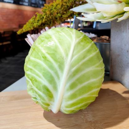 Picture of Cabbage BeiJing (北京白菜) 600g - 900g +/- per pcs
