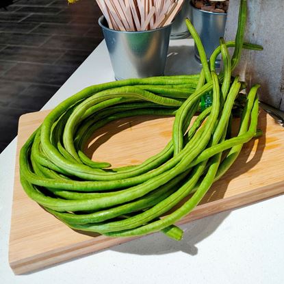 Picture of Long Bean (长豆) 250g +/- per pkt