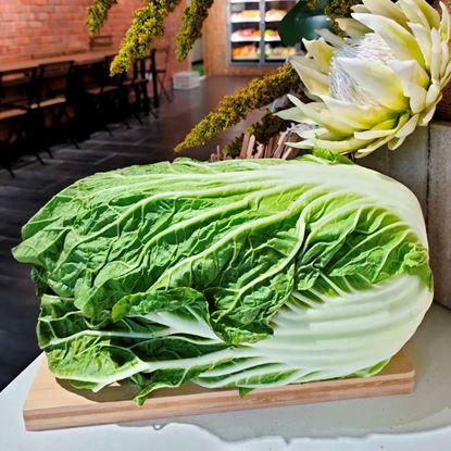 Picture of Long Cabbage (大白菜) 700g - 1kg +/- per pcs
