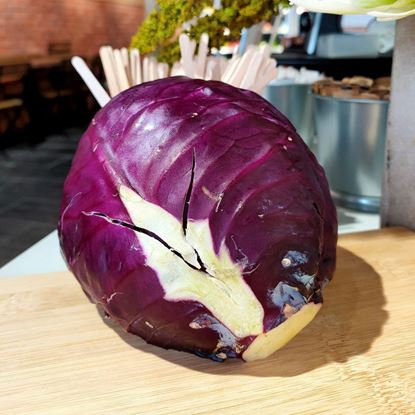 Picture of Red Cabbage (紫包菜) 500g - 600g +/- per pcs