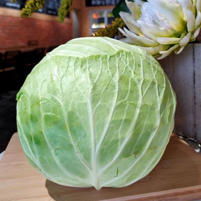 Picture of Round Cabbage (Cameron) 包菜 600g - 800g +/- per pcs