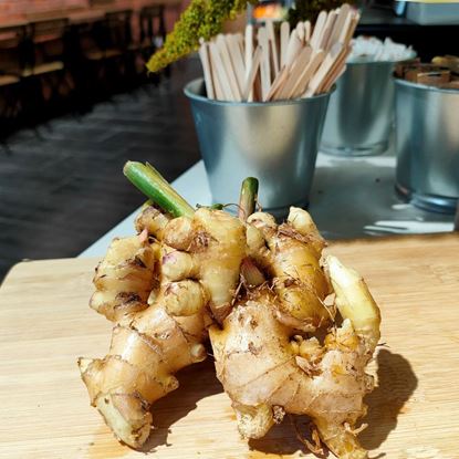 Picture of Young Ginger (子姜) 250g +/- per pkt