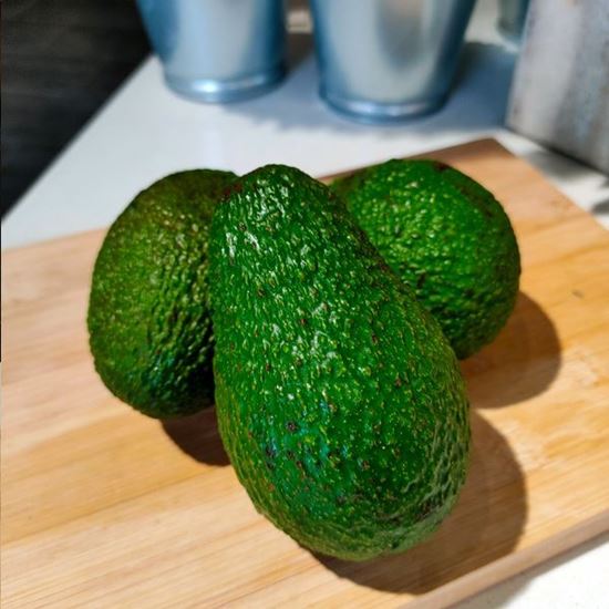 Picture of Avocado Australia (牛油果) / pcs