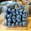 Picture of Blueberry (Jumbo) 蓝莓 / pkt