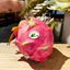 Picture of Dragon Fruit (White)