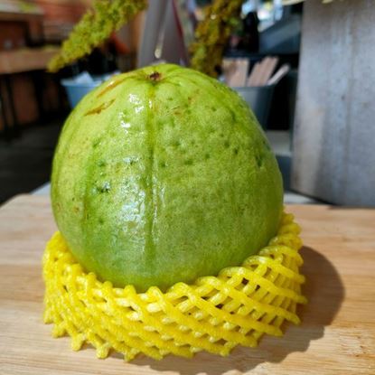 Picture of Guava (Lohan) 芭乐 500g - 650g +/- per pcs