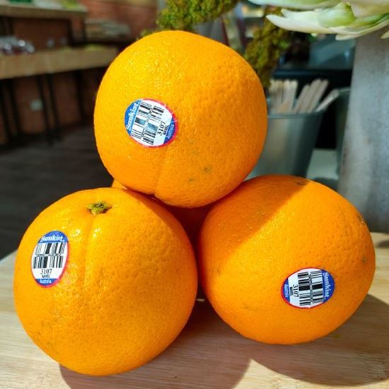 Picture of Sunkist Orange Navel L (著名肉橙) 5pcs / pkt