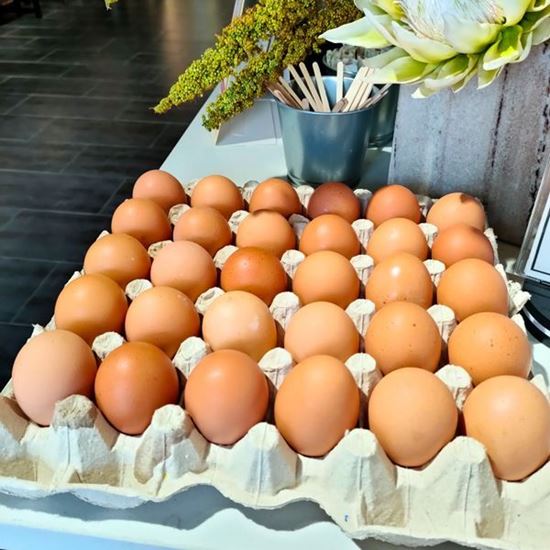 Picture of Egg A (30/tray)