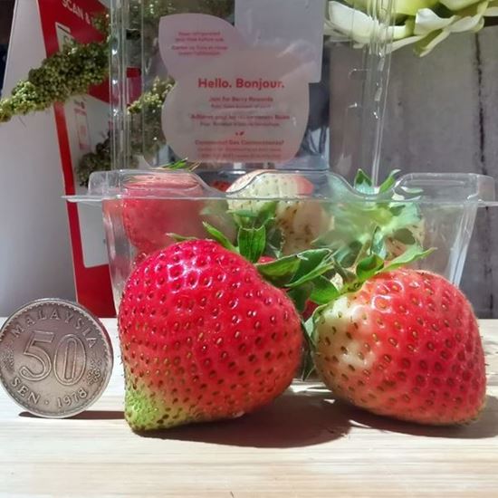 Picture of US Strawberry 美国草莓 250g / pkt