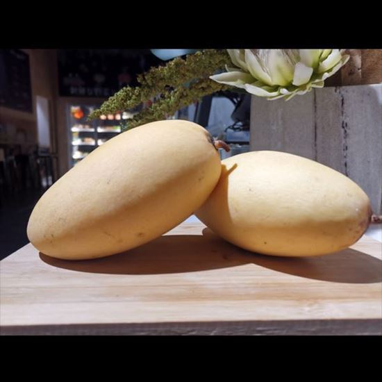 Picture of Mango Lily Gold 350g - 500g / Per Pcs