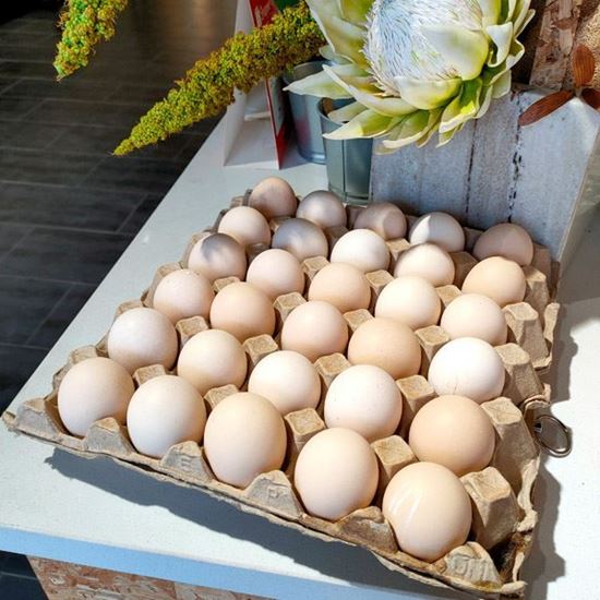 Picture of Kampung Egg 30pcs / per tray
