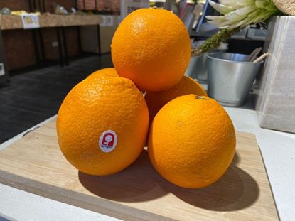 Picture of SA Orange Navel (著名肉橙) 5pcs / Pkt